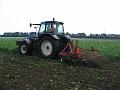Leon Vissers Vissers aardbeiplanten BV America (4)